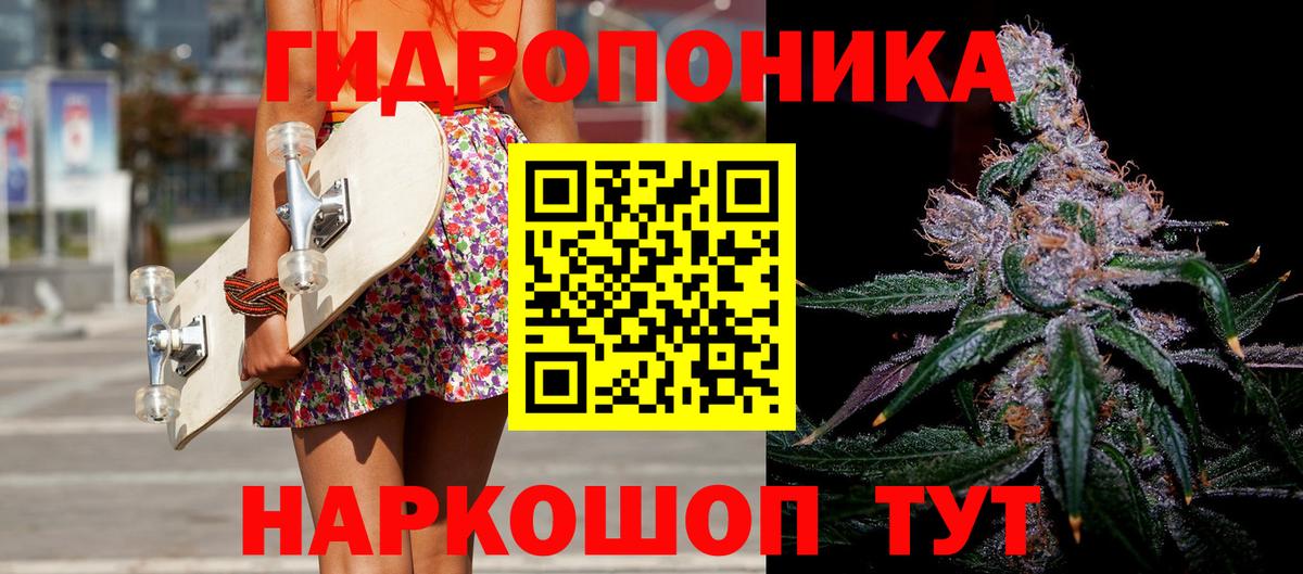 Тверь  Канабис семена  Вход с VPN  Конопля ГИДРОПОН 